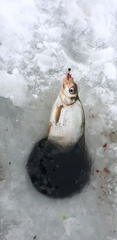 мормышка дробинка.JPG